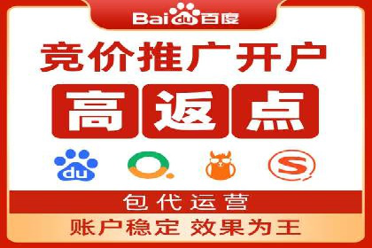 网络推广与竞价广告：双管齐下的策略案例